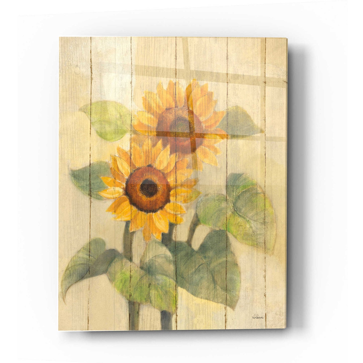 Epic Art 'Summer Sunflowers I on Barn Board' by Albena Hristova, Acrylic Glass Wall Art