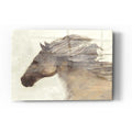 Epic Art 'Into the Wind Ivory Crop' by Albena Hristova, Acrylic Glass Wall Art