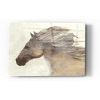 Epic Art 'Into the Wind Ivory Crop' by Albena Hristova, Acrylic Glass Wall Art