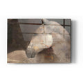 Epic Art 'Looking Back' by Albena Hristova, Acrylic Glass Wall Art