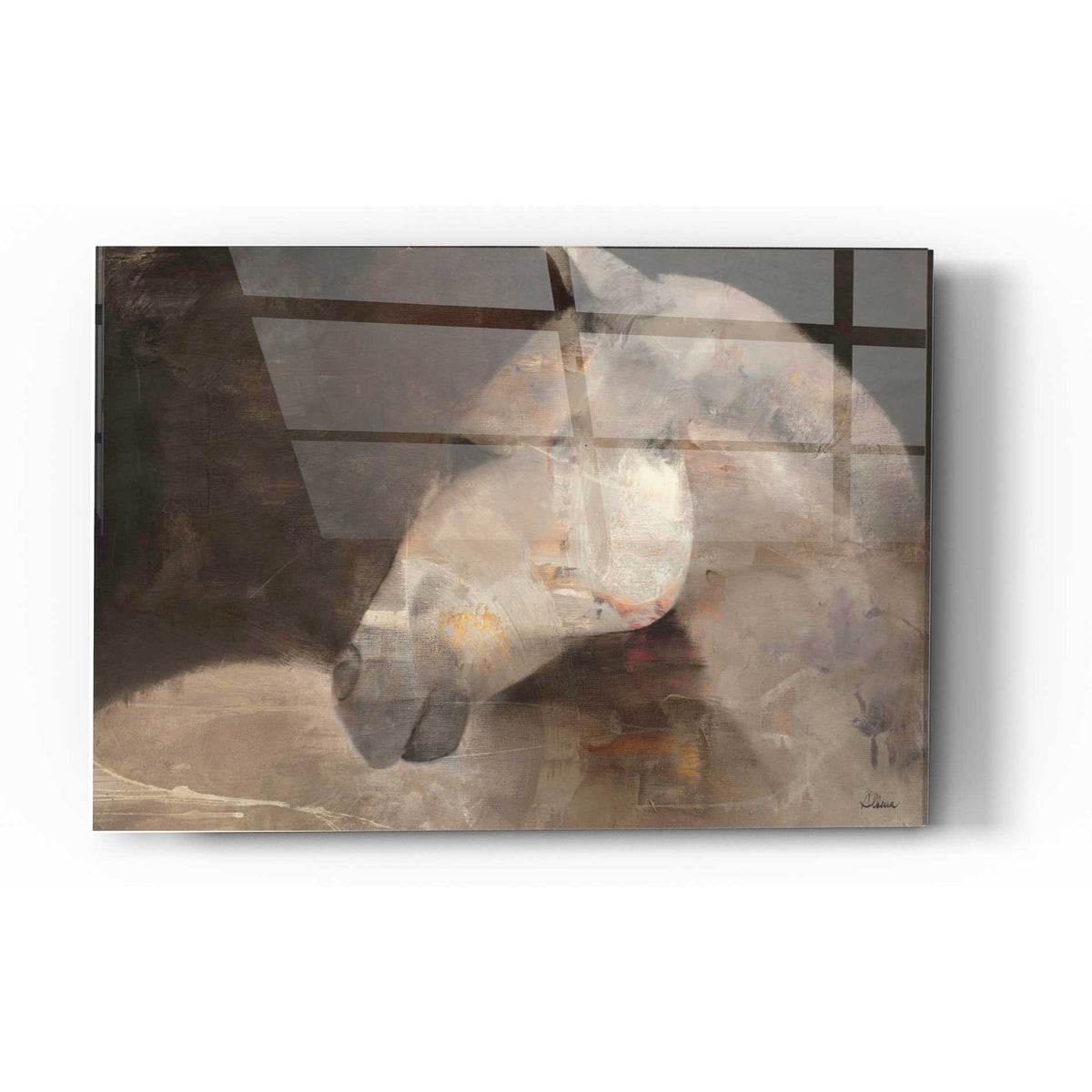 Epic Art 'Looking Back' by Albena Hristova, Acrylic Glass Wall Art
