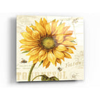 Epic Art 'Under The Sun I' by Lisa Audit, Acrylic Glass Wall Art