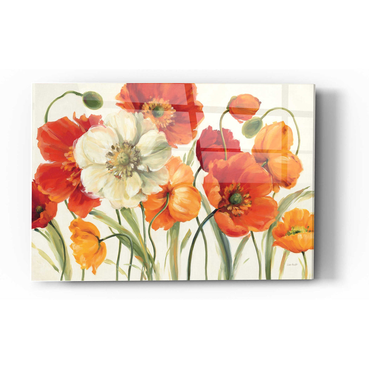 Epic Art 'Poppies Melody I' by Lisa Audit, Acrylic Glass Wall Art