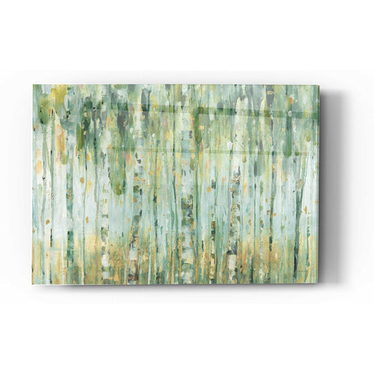 Epic Art 'The Forest I' by Lisa Audit, Acrylic Glass Wall Art