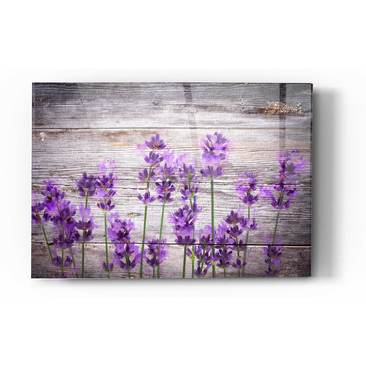 Epic Art "Serene and Rustic" Acrylic Glass Wall Art