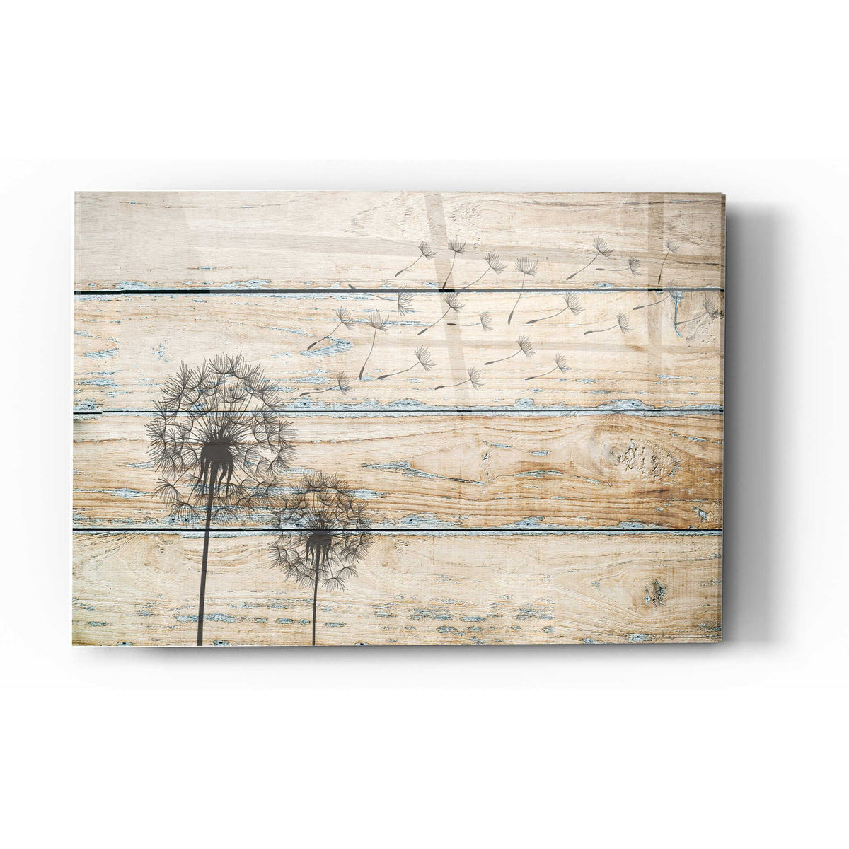 Epic Art "Tanpopo" Acrylic Glass Wall Art
