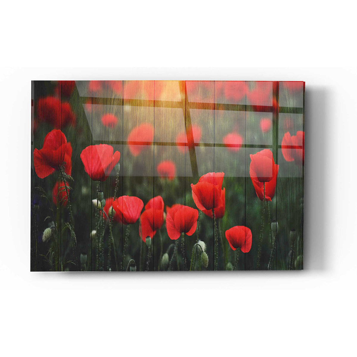 Epic Art "Wood Series: Field of Poppies" Acrylic Glass Wall Art