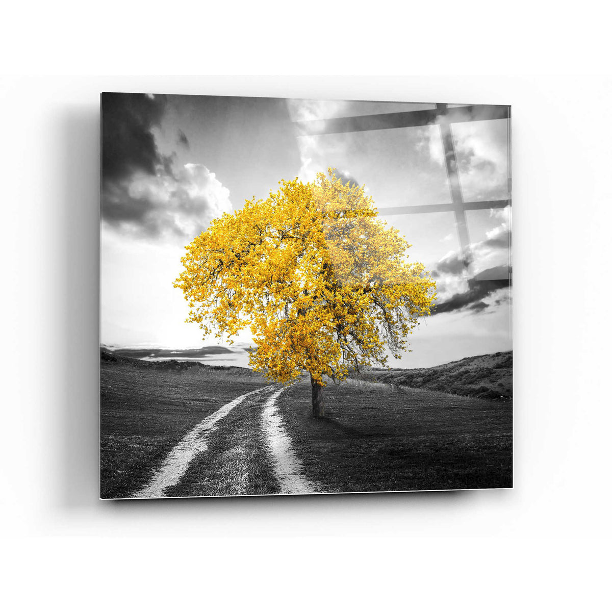Epic Art 'Vibrant Tree Series: Gold' Acrylic Glass Wall Art