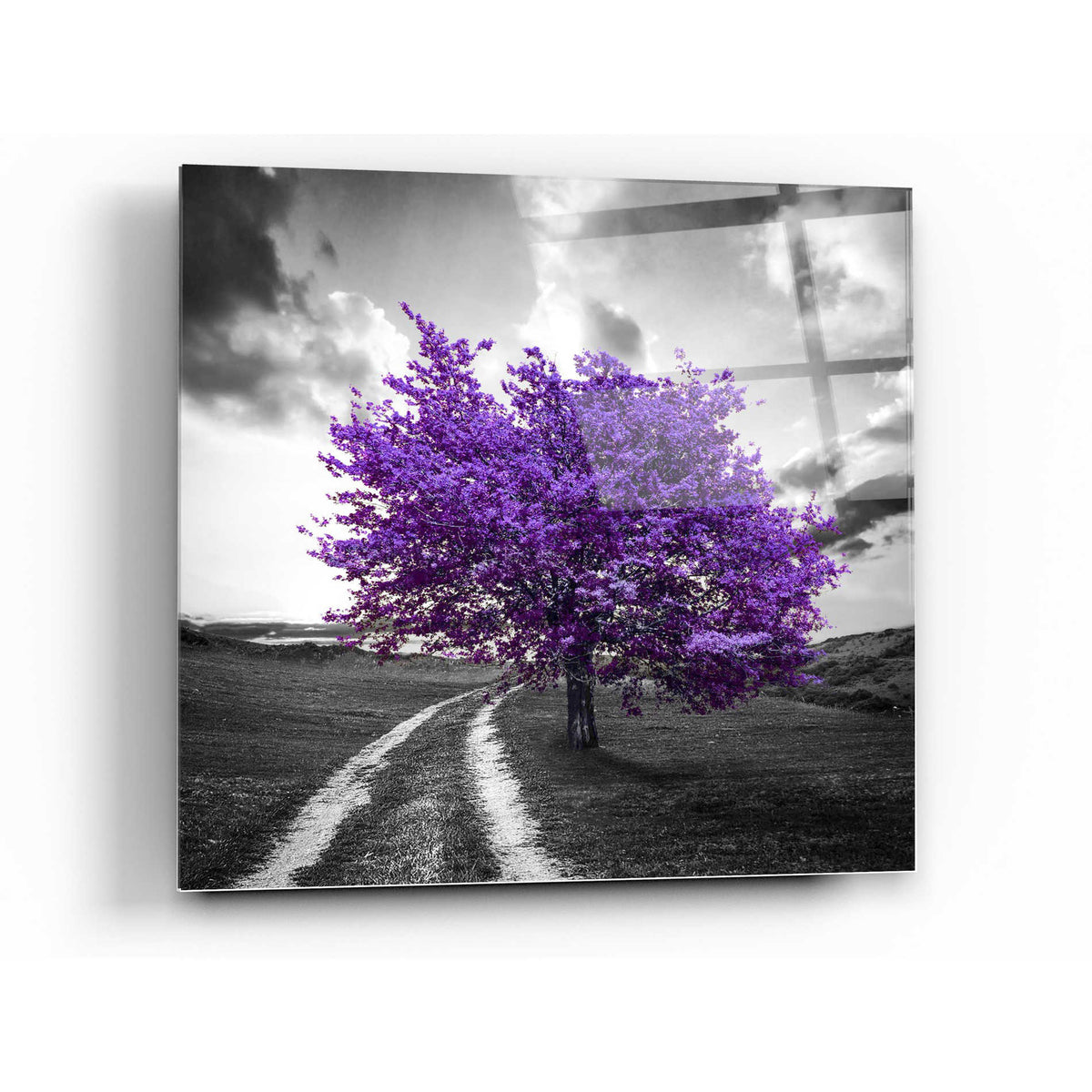 Epic Art 'Vibrant Tree Series: Amethyst' Acrylic Glass Wall Art