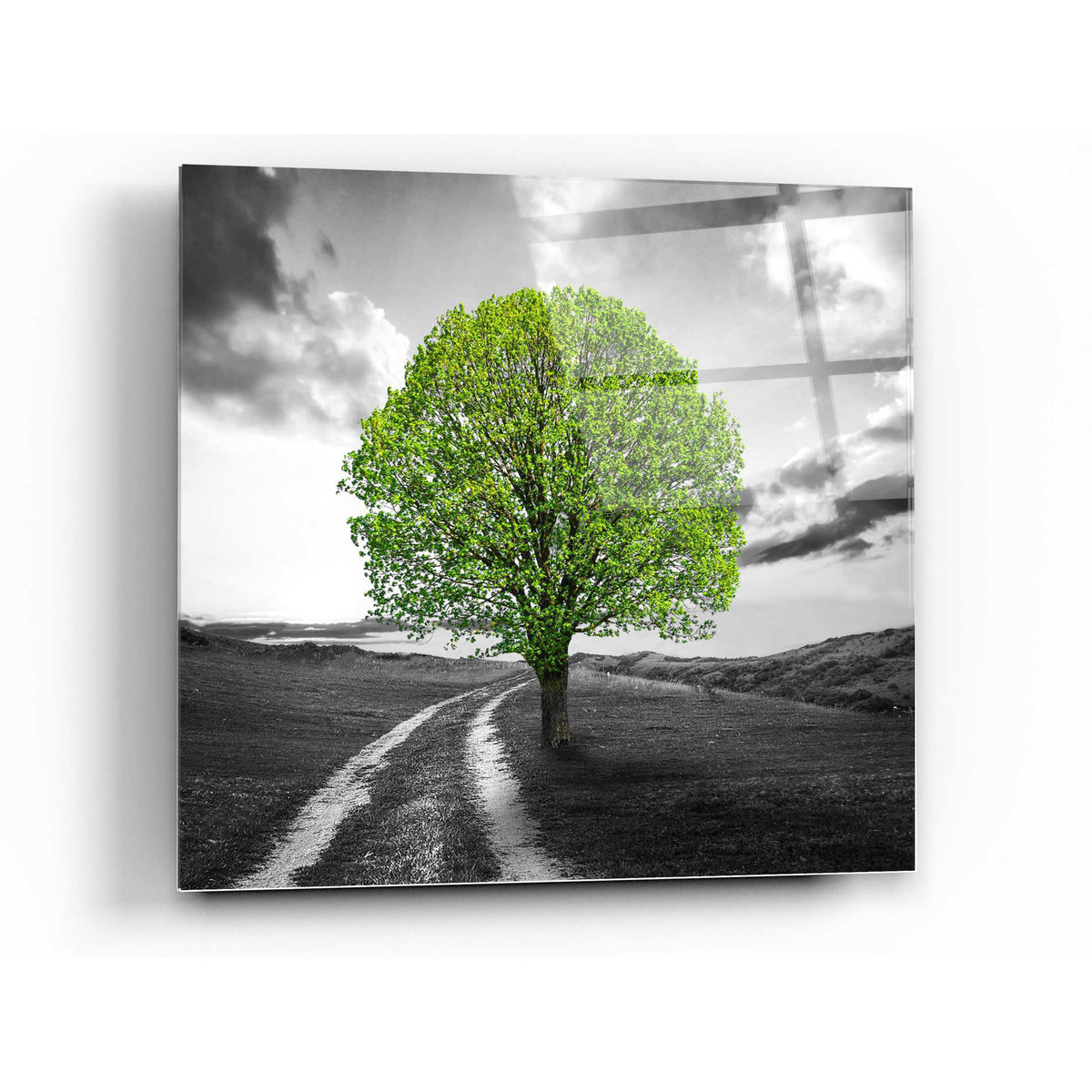 Epic Art 'Vibrant Tree Series: Green' Acrylic Glass Wall Art