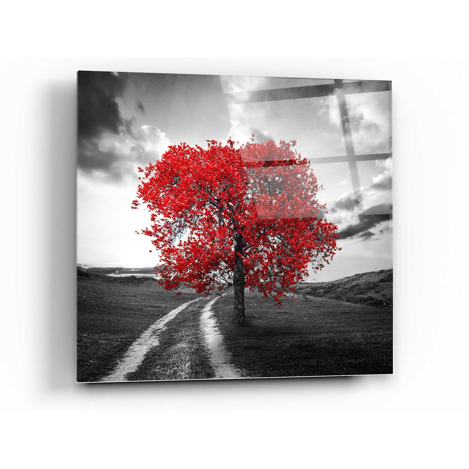 Epic Art 'Vibrant Tree Series: Ruby' Acrylic Glass Wall Art