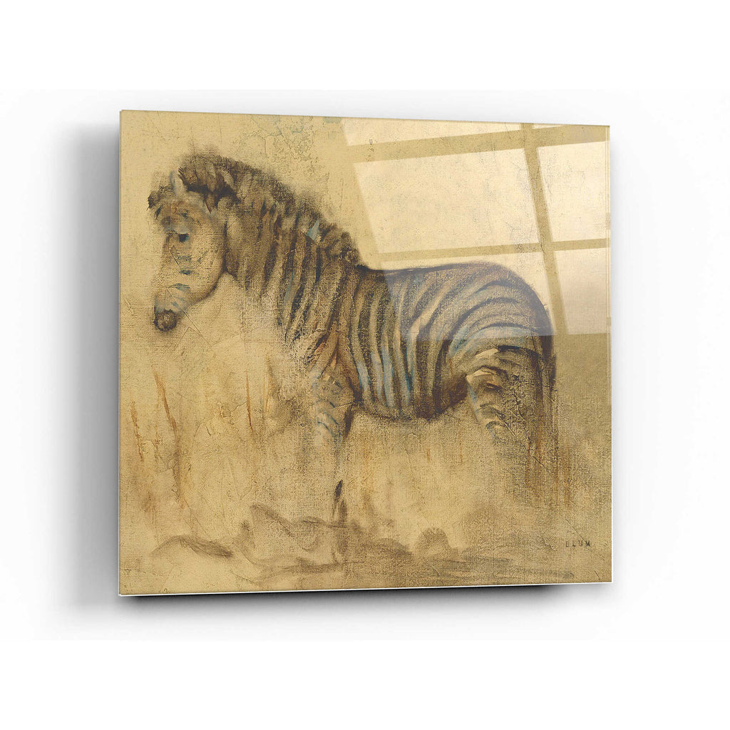 Epic Art 'Global Zebra Light Crop' by Cheri Blum, Acrylic Glass Wall Art