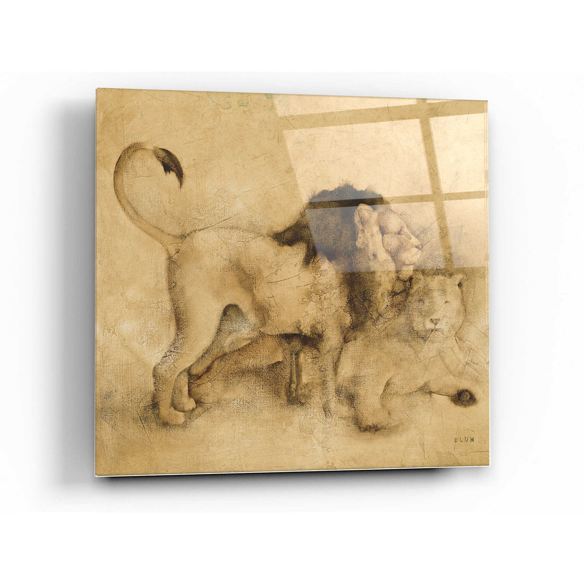 Epic Art 'Global Lions Light Crop' by Cheri Blum, Acrylic Glass Wall Art