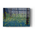 Epic Art 'LUMINOUS' by DB Waterman, Acrylic Glass Wall Art