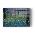 Epic Art 'LUMINOUS' by DB Waterman, Acrylic Glass Wall Art