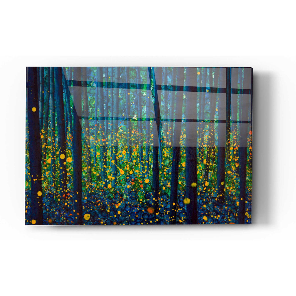 Epic Art 'FIREFLIES' by DB Waterman, Acrylic Glass Wall Art