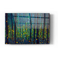 Epic Art 'FIREFLIES' by DB Waterman, Acrylic Glass Wall Art