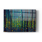 Epic Art 'FIREFLIES' by DB Waterman, Acrylic Glass Wall Art