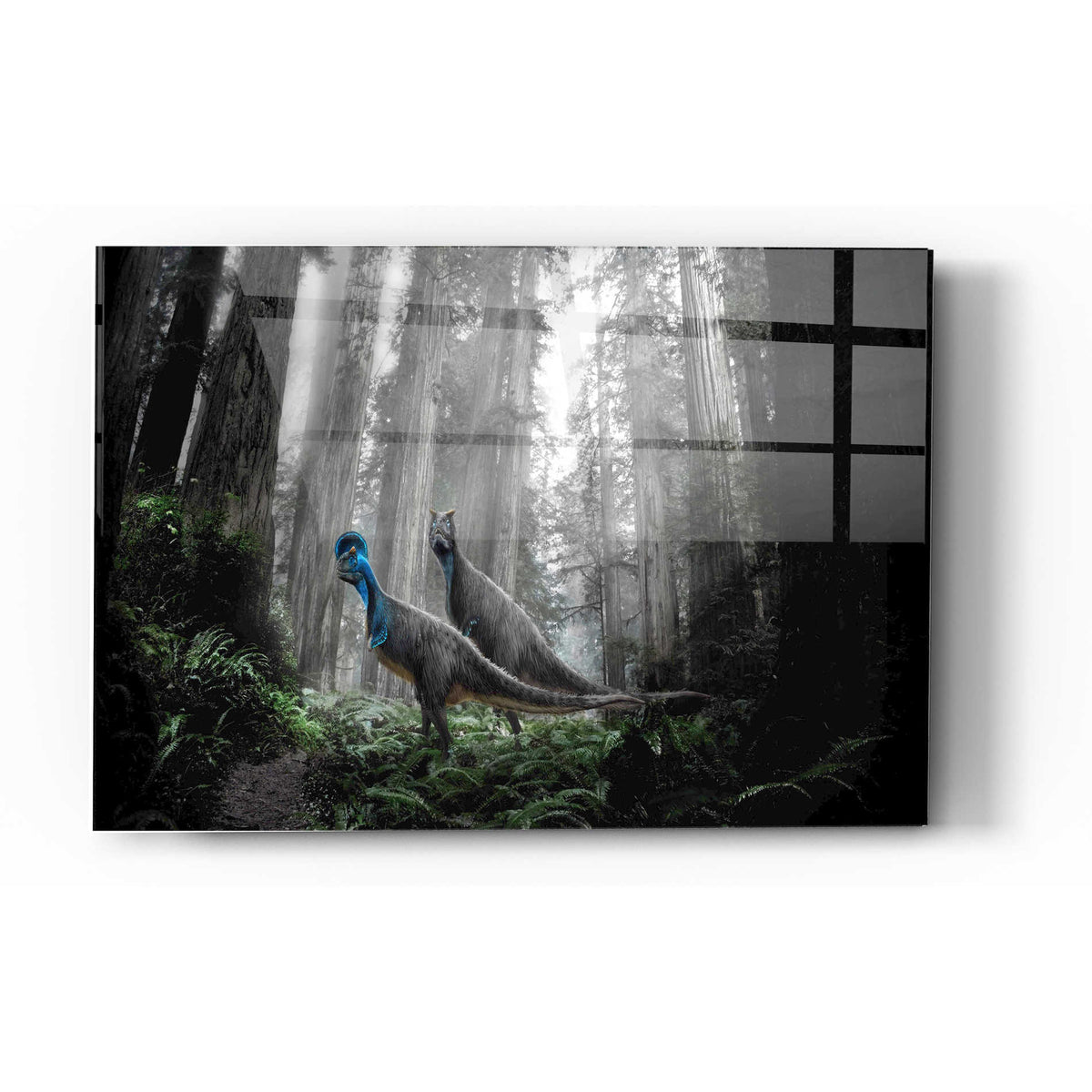 Epic Art 'Breeding Season' Acrylic Glass Wall Art