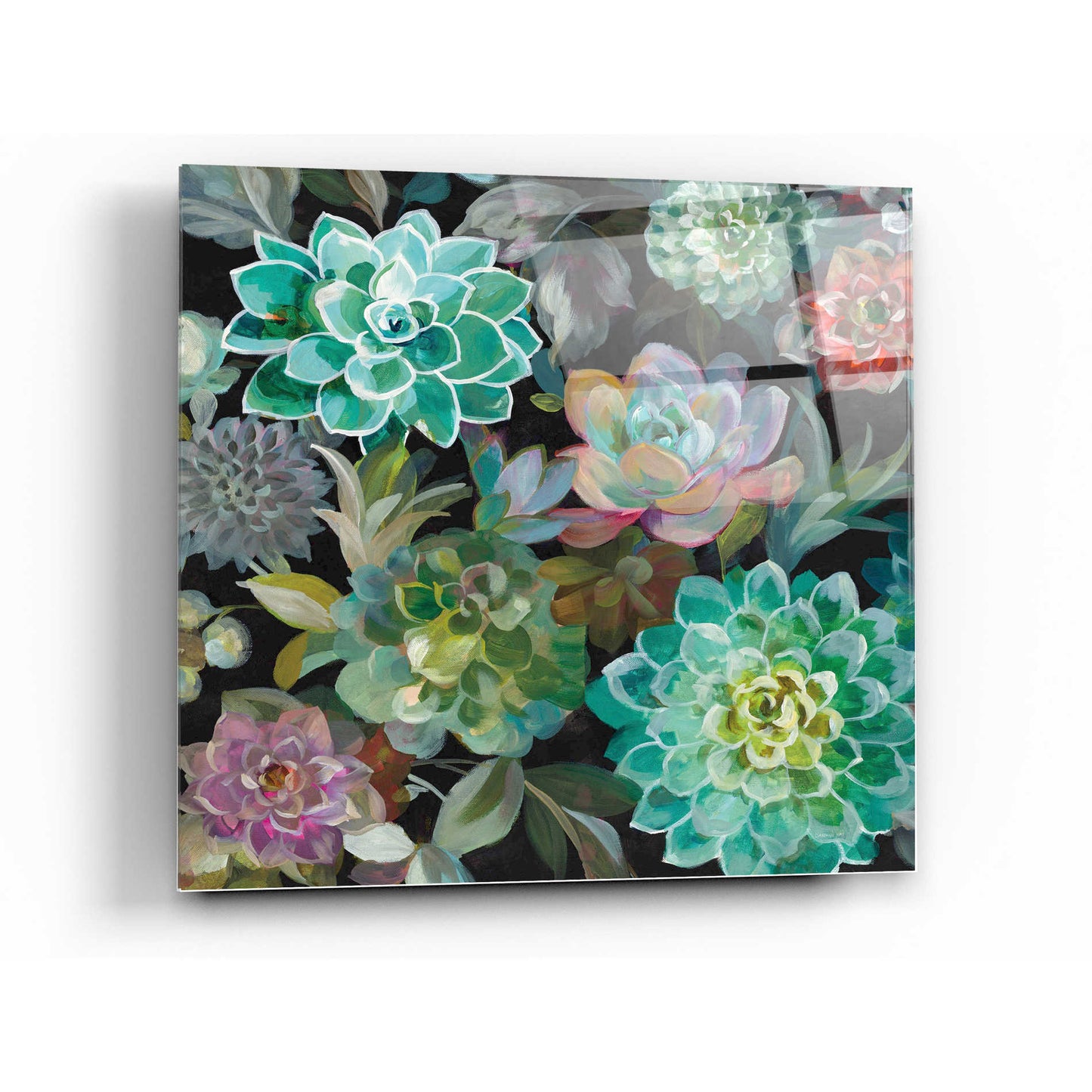 Epic Art 'Floral Succulents v2 Crop' by Danhui Nai, Acrylic Glass Wall Art