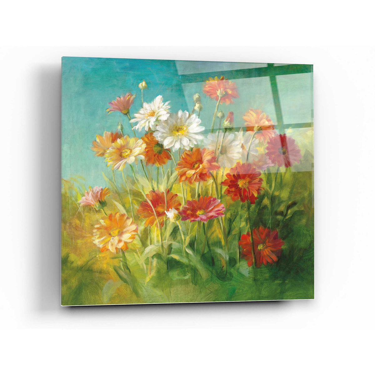 Epic Art 'Painted Daisies' by Danhui Nai, Acrylic Glass Wall Art