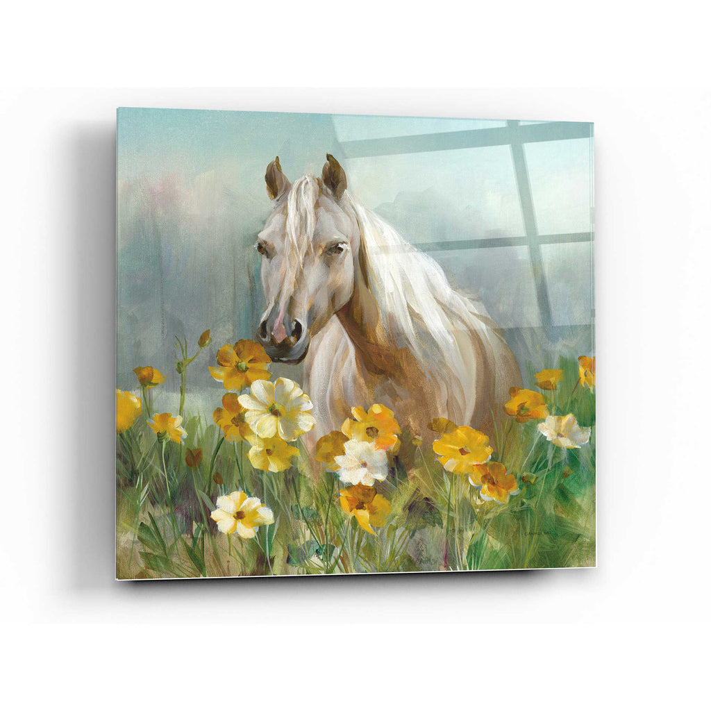Epic Art 'Farm and Field II Crop' by Danhui Nai, Acrylic Glass Wall Art