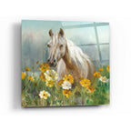 Epic Art 'Farm and Field II Crop' by Danhui Nai, Acrylic Glass Wall Art