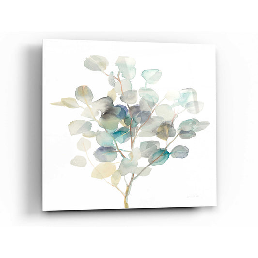 Epic Art 'Eucalyptus III White' by Danhui Nai, Acrylic Glass Wall Art