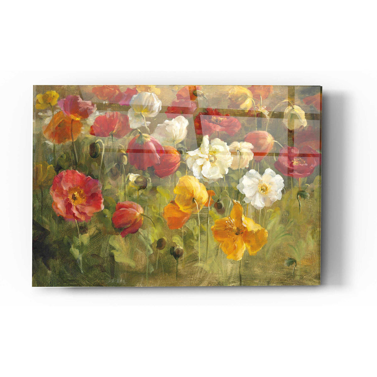 Epic Art 'Poppy Field' by Danhui Nai, Acrylic Glass Wall Art