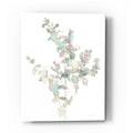 Epic Art 'Eucalyptus II White' by Danhui Nai, Acrylic Glass Wall Art