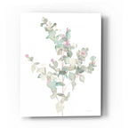 Epic Art 'Eucalyptus II White' by Danhui Nai, Acrylic Glass Wall Art