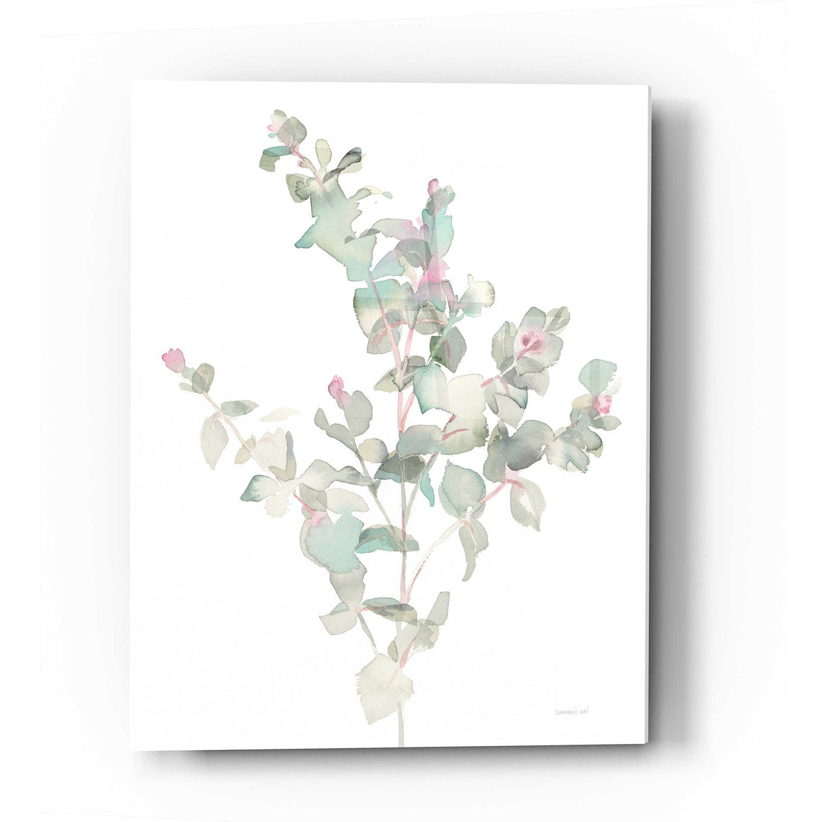 Epic Art 'Eucalyptus II White' by Danhui Nai, Acrylic Glass Wall Art