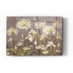 Epic Art 'Spring Blossoms Neutral' by Danhui Nai, Acrylic Glass Wall Art