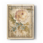 Epic Art 'Parisian Flowers I' by Danhui Nai, Acrylic Glass Wall Art