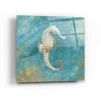 Epic Art 'Treasures From The Sea I' by Danhui Nai, Acrylic Glass Wall Art
