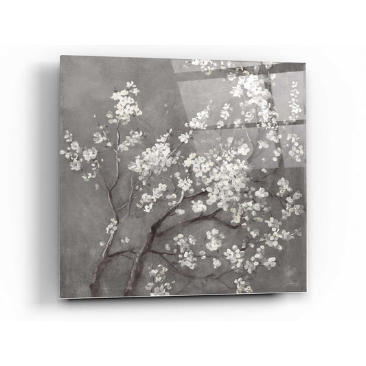 Epic Art 'White Cherry Blossom I on Grey' by Danhui Nai, Acrylic Glass Wall Art