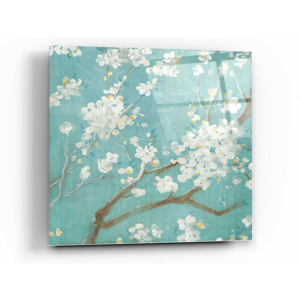Epic Art 'White Cherry Blossom I on Blue' by Danhui Nai, Acrylic Glass Wall Art