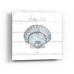 Epic Art 'Aqua Underwater Life VIII' by Daphne Brissonet, Acrylic Glass Wall Art