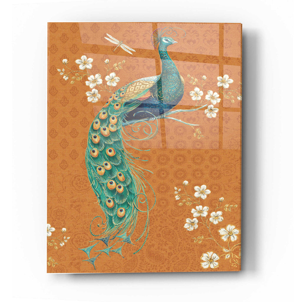 Epic Art 'Ornate Peacock IX Spice' by Daphne Brissonet, Acrylic Glass Wall Art