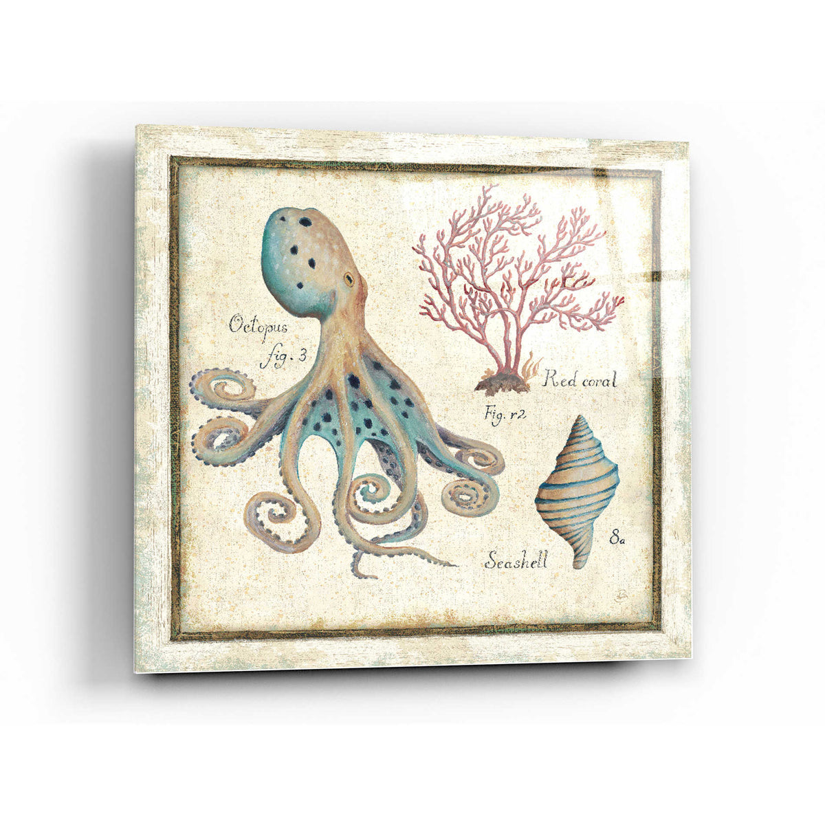 Epic Art 'Oceanography I' by Daphne Brissonet, Acrylic Glass Wall Art