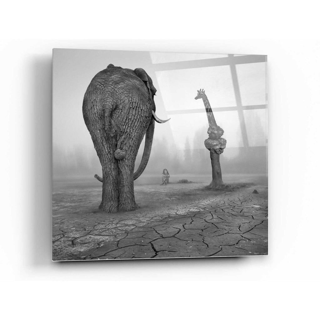 Epic Art 'Animalia' by Dariusz Klimczak, Acrylic Glass Wall Art