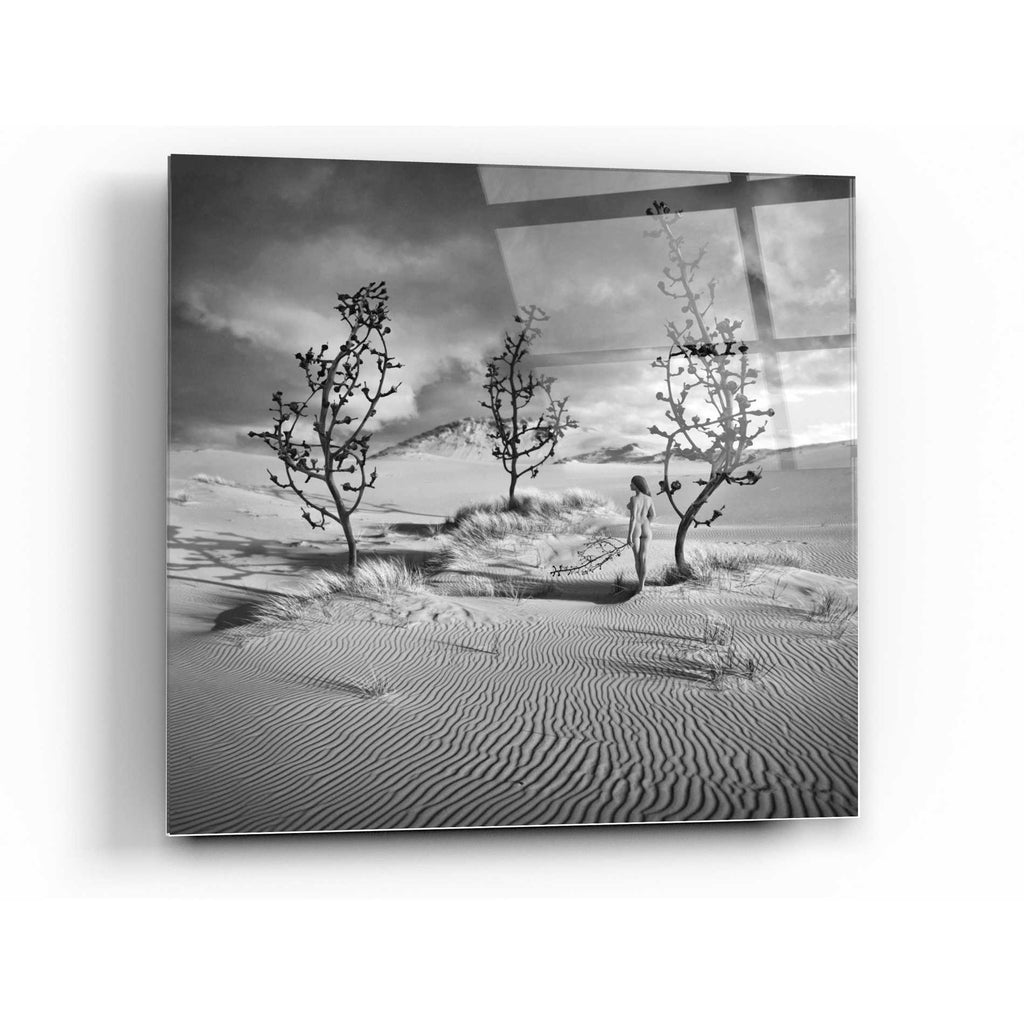 Epic Art 'Egarden' by Dariusz Klimczak, Acrylic Glass Wall Art