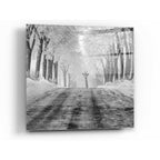 Epic Art 'Surprise' by Dariusz Klimczak, Acrylic Glass Wall Art