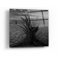 Epic Art 'Cactus' by Dariusz Klimczak, Acrylic Glass Wall Art