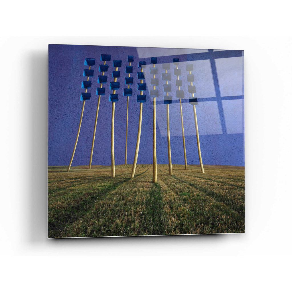 Epic Art 'Flowers' by Dariusz Klimczak, Acrylic Glass Wall Art