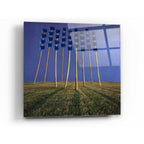 Epic Art 'Flowers' by Dariusz Klimczak, Acrylic Glass Wall Art