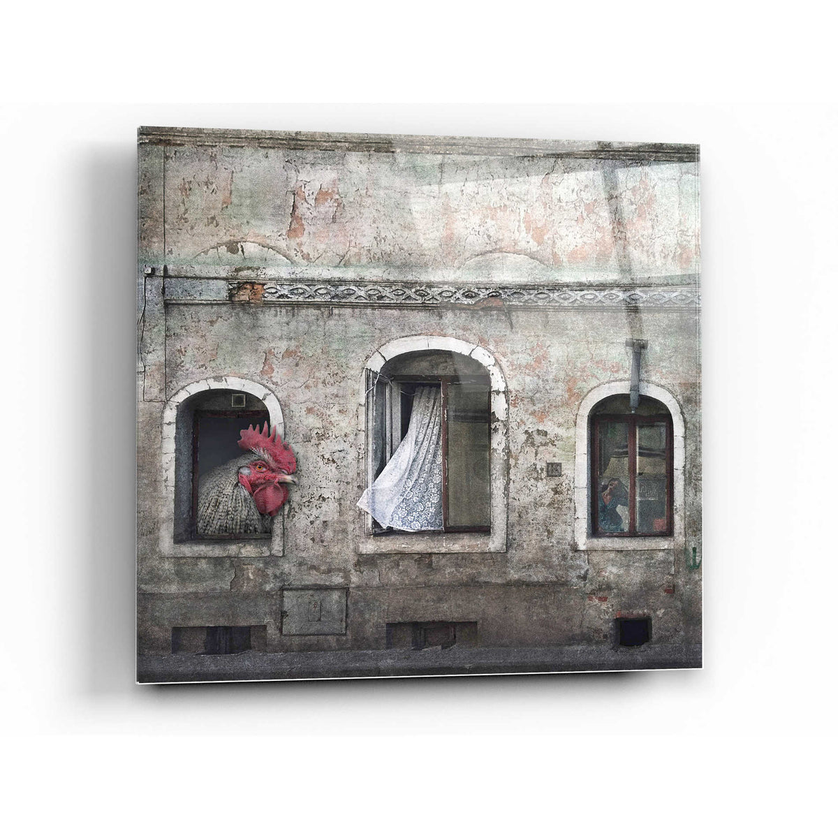 Epic Art 'Kogut Domowy' by Dariusz Klimczak, Acrylic Glass Wall Art