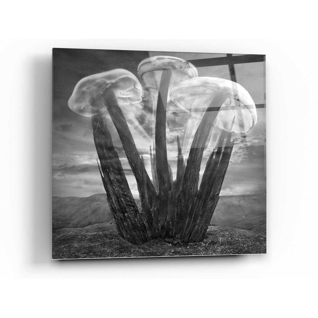 Epic Art 'Meduzalem' by Dariusz Klimczak, Acrylic Glass Wall Art
