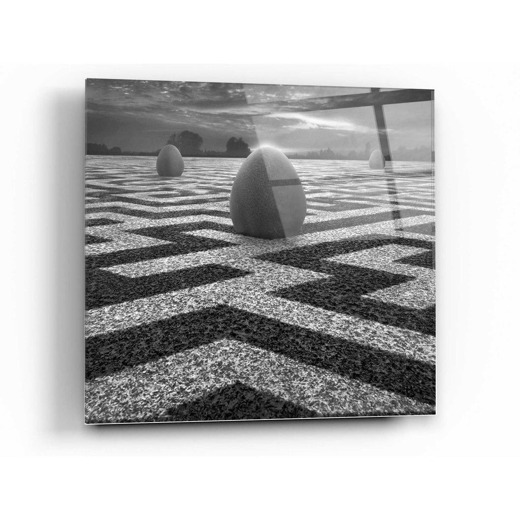 Epic Art 'Ptasi Labirynt' by Dariusz Klimczak, Acrylic Glass Wall Art