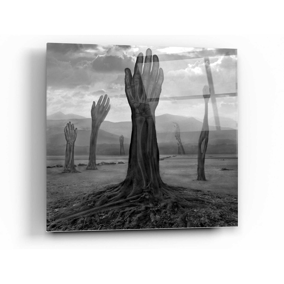 Epic Art 'Rentgen' by Dariusz Klimczak, Acrylic Glass Wall Art